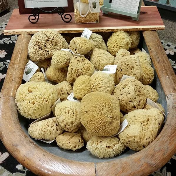 Florida Gulf Coast Premium Sea Wool Sponges